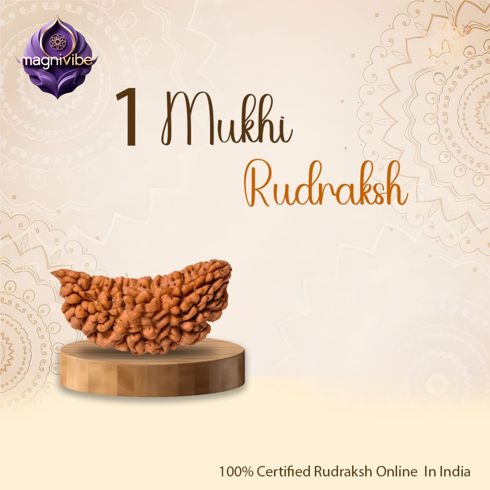 1 Mukhi Rudraksha