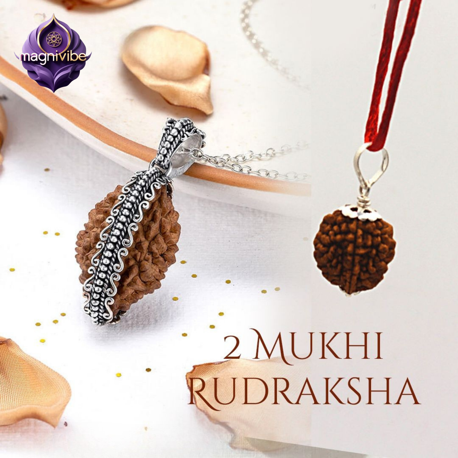 2 Mukhi Rudraksha