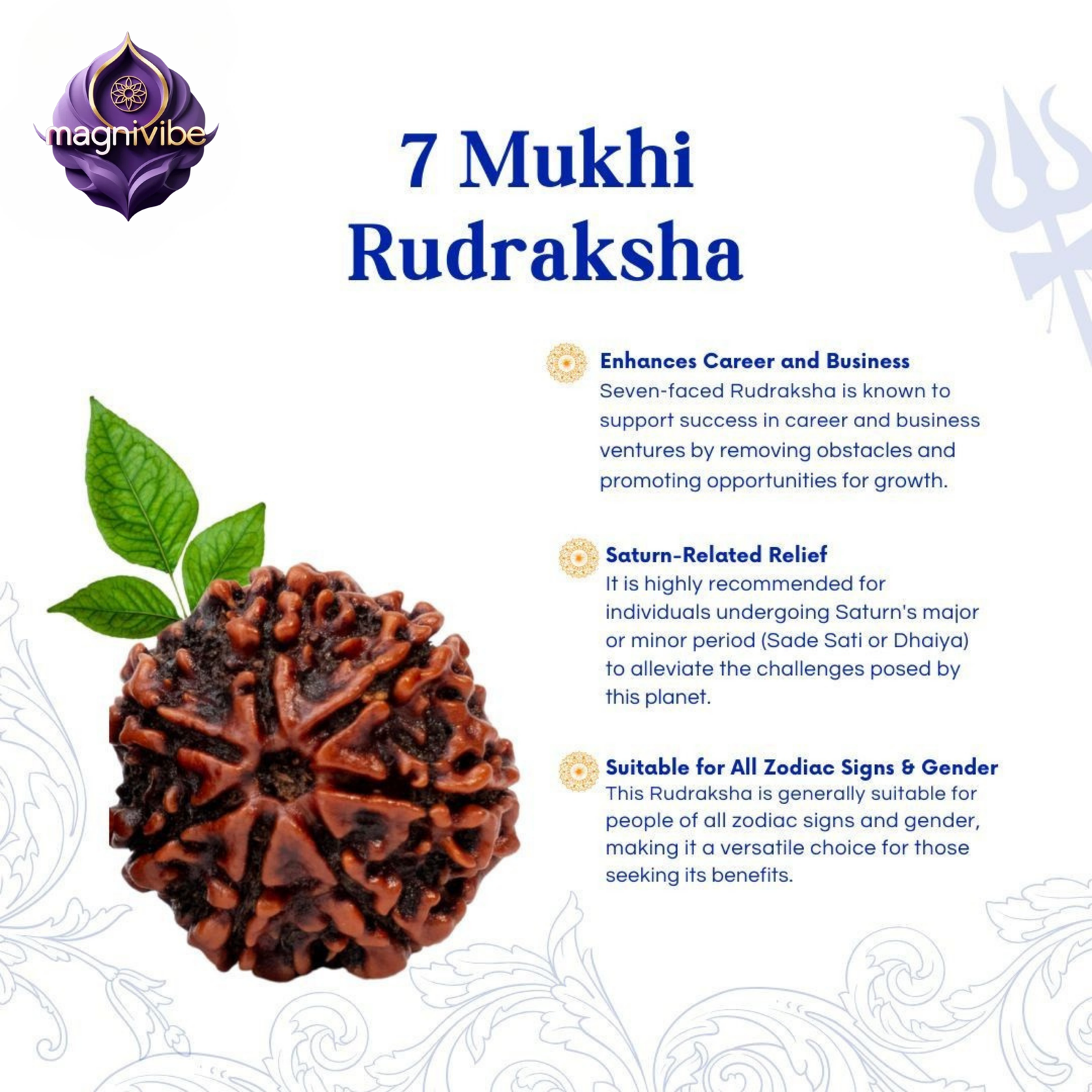 7 Mukhi Rudraksha